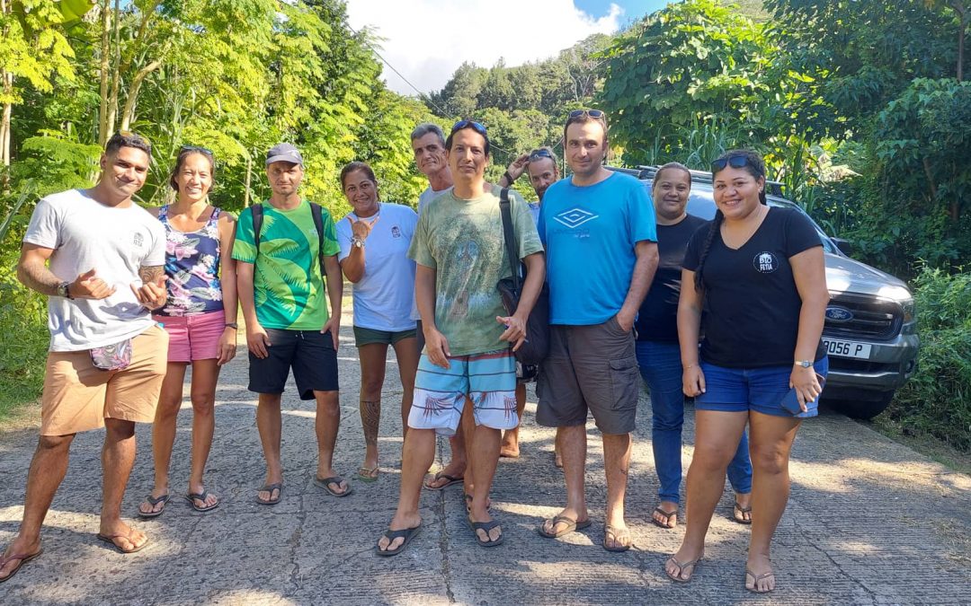 Agroforesterie syntropique