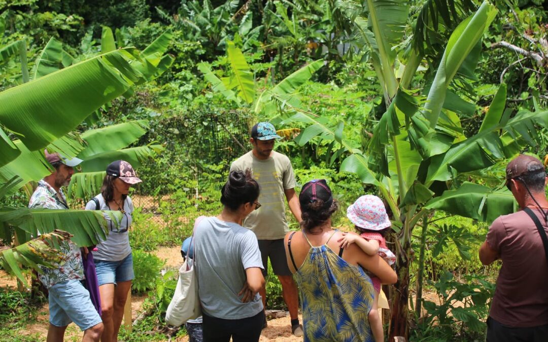 Portes Ouvertes des Fa’a’apu BIO 2024 Raiatea
