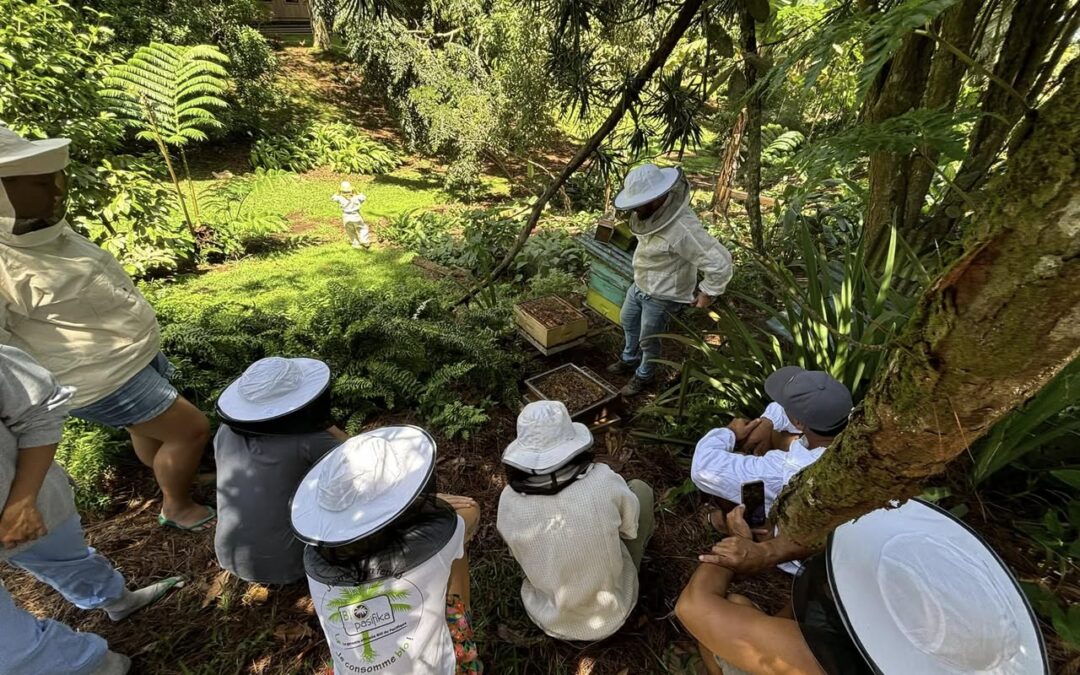 Une journée pour butiner le savoir : immersion en apiculture biologique à Taravao